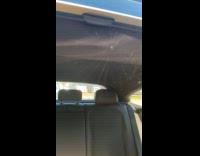 Car with giant spiderweb inside passenger seat