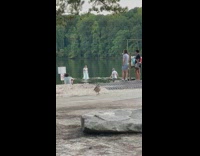 Woman in cyan dress poses on the lake shore Part 1