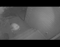Guy falls down his front porch steps and says Ow, front security camera