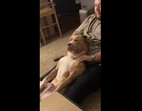 Man sit on floor massage dog shoulder