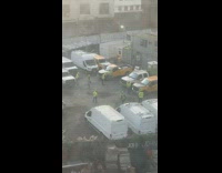 Group of workers exercise together 