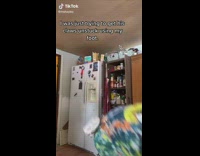 Girl with red beanie tie dye hoodie picks up her big cat 