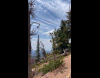 Family hiking sees iridescent clouds in the sky