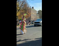 Mummers walk on street during Christmas parade