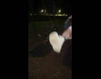 Dog bites seat of swing playground night