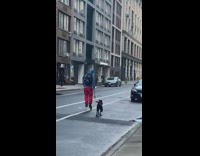 Guy roller blades with dog 