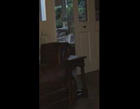 Guy terrified of dog stare eyes glow