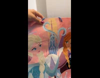 Bad drawing and painting on wall Frozen