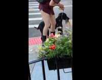 Pet owner tries to take rat out of dogs mouth 