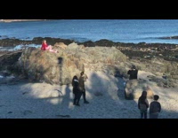 Girl wearing roller skates poses on rock 