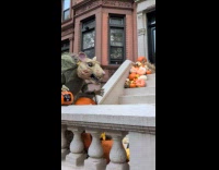 Animatronic rat on porch stairs for Halloween