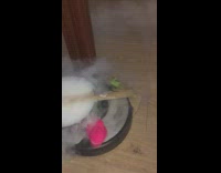 Roomba pot of smoke knife taped onto it pink toy