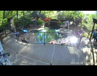 Tree falls with no wind at yard