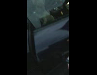 Guy opens black car door brown dog 