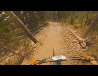 Guy wearing orange gloves rides blue bicycle through woods 