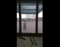 Girl hula hoop dance tiktok outside window