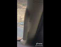 Fake cardboard cut out police car 