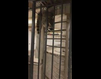 Raccoon trying to find his way through metal bars