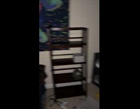 Cat likes to play hide and seek