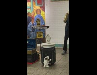 Guy plays saxophone with dancing animal dolls 
