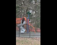 Couple has intercourse on a park playground next to slide