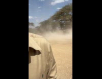 Man runs toward dust tornado at park