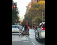 Man on scooter carry ladder on street