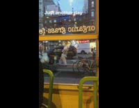 Easter bunny mascot drags a cart full of trashbags down street