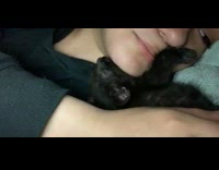 Small black kitten hugs girls face sleeps
