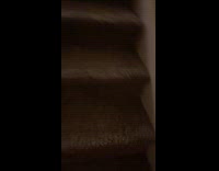 Dog guilty of tearing hoomans notes