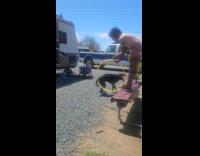 Girl teaches dog jump over hula hoop 