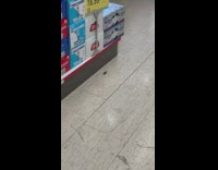 Cockroach running on floor of convenience store