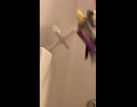 Collab BitchMP - Bird above bathtub falls into water 