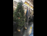 Man in Tree Costume Slides on Bench