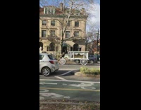 2 horses pull a carriage 