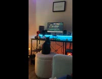 Cat sits on chair ready for stream