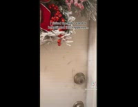 Woman visits kids she used to baby sit and they yell at odor 