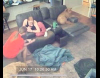 Dog loves to sit on recliner chair 