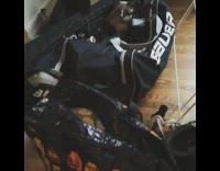 gray cat laying down inside a black bag