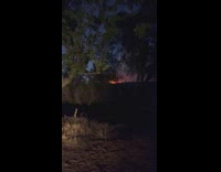 Sunset and forest fire tree silhouette smoke