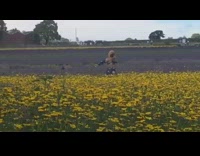 Girl tiktok dances yellow flower field tripod  