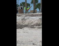 Woman in Swimsuit lays on top of Black Jeep for Photo