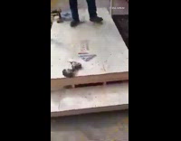 Guy construction site phone imposter among us