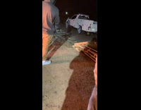 Man white cart jumps wooden pallets 