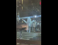 Person in white shark costume crosses street