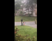 Grey sweater girl lays back grass rain 