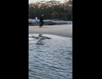 Collab IITW - Man in black suit jump shot at beach