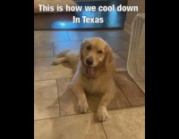 this is how we cool down in texas