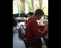 Kitten stands on guys back 