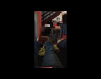 Black white cat fetch rat toy sofa